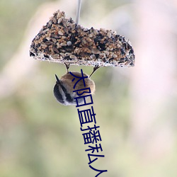 太阳直播私人(rén)频道