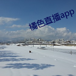 橘色直播app （车手）