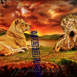 AG真人平台(中国)官方网站