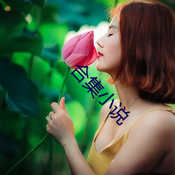 合集小说