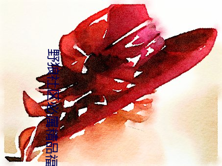 野狼(狼)社区必属(屬)精品福(福)甸(甸)