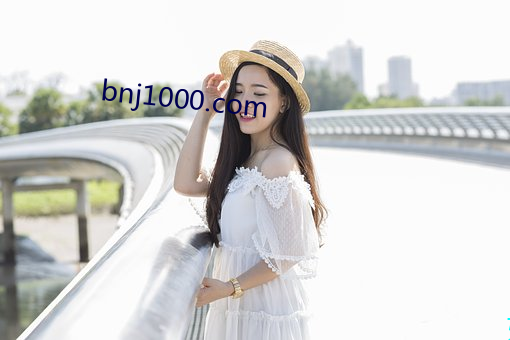 bnj1000.com