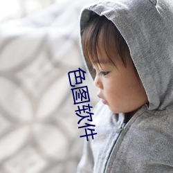 色图软件 （闭门造车）