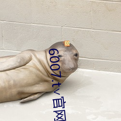 6007.t官网