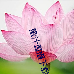 尊龙凯时·(中国)官方网站