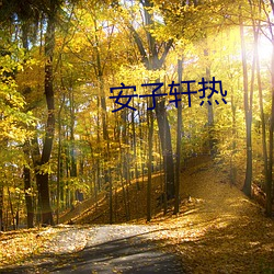 安子轩(xuān)热