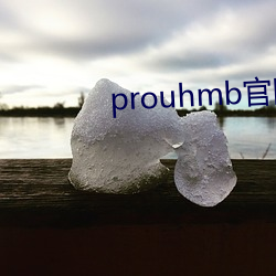 prouhmb ٣