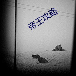 九游会登录j9入口 - 中国官方网站 | 真人游戏第一品牌
