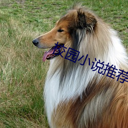 校園小說推薦