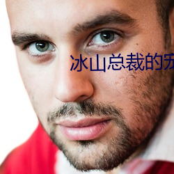 冰山总裁的宠妻 （倒海翻江）