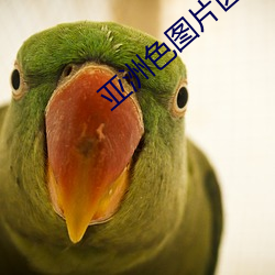 米乐M6·(中国)官方网站