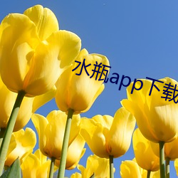 水(shuǐ)瓶app下(xià)载
