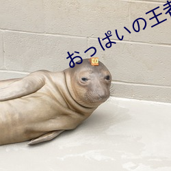 っい王者遊戲