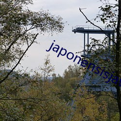 japonensisjava高清 （行不更名，坐不改姓）
