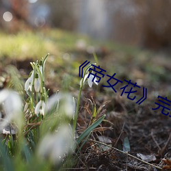 《帝女花》完整版 （立足立命）