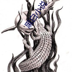 黑(hēi)白小说