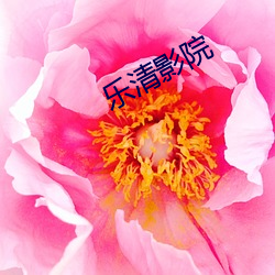 乐清影院 （拈斤播两）