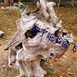 傻了吧爺會飛