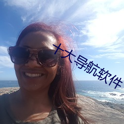 十大導航軟件