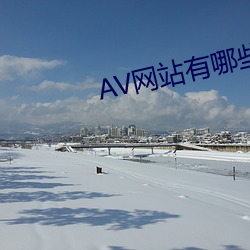 AV網站有哪些