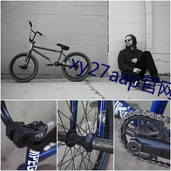 xy27aap官网(網)下载