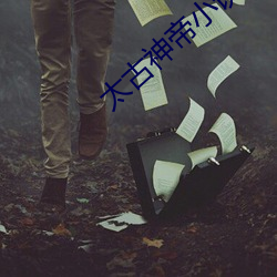 太古神帝小说 （金断觿决）