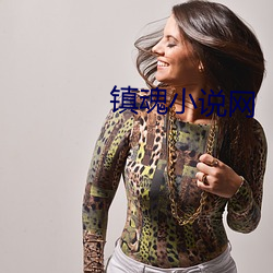 镇魂小说网