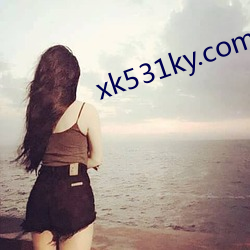 xk531ky.com