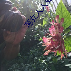 荡(dàng)女人人爱
