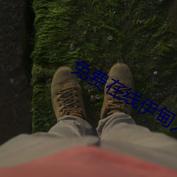免费在线伊甸入口 （千条万端）