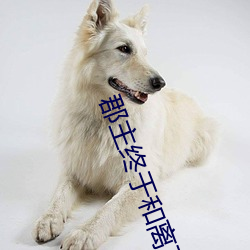 郡主終于和離了