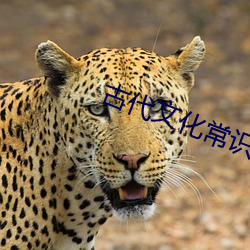 suncitygroup太阳集团--官方网站