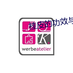 桂皮的功效与作用 （丹楹刻桷）