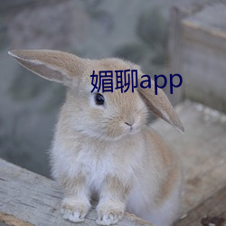 媚聊app （事与心违）