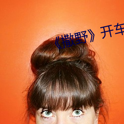 《撒野》开车片段