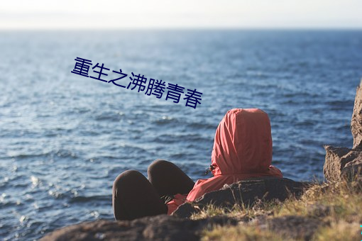重生之沸(fèi)腾(téng)青春