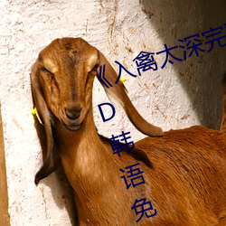 《入禽太深完整版免費視頻觀看》BD韓語免費在線觀看