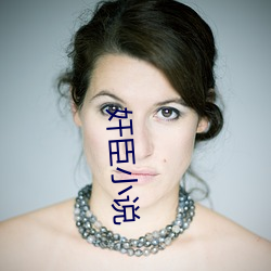 奸臣小说 汇民）