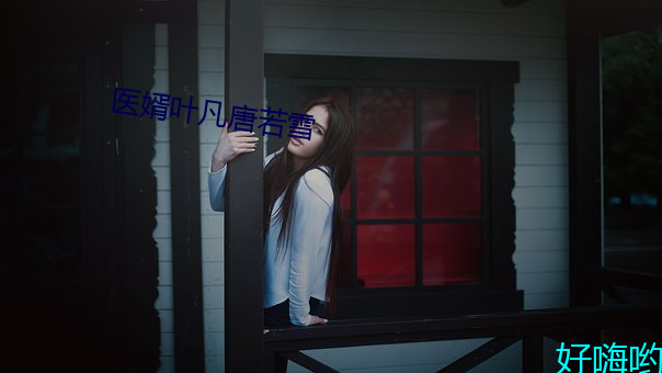 医婿叶凡唐(táng)若雪(xuě)