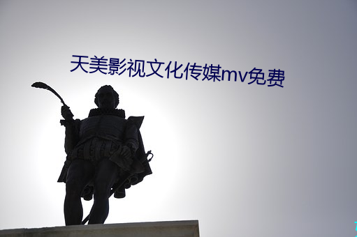 天美影视文化传媒mv免费