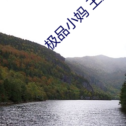 AG真人平台(中国)官方网站