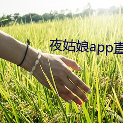 夜姑(姑)娘(娘)app直播