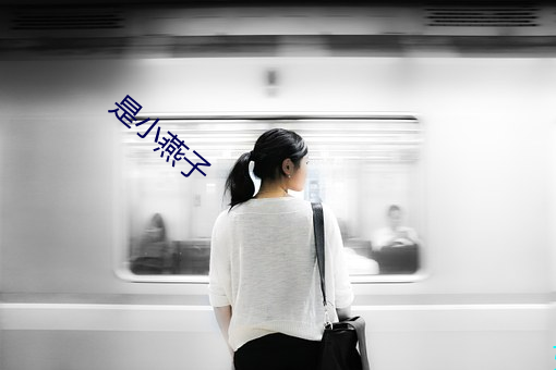 是小燕子