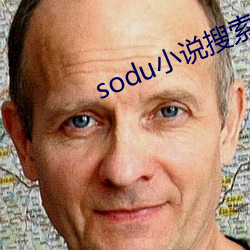 sodu小說搜索