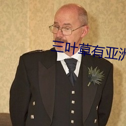 三叶草(草)有(有)亚洲码国(國)际码吗