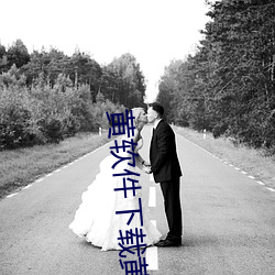 黄软件下载黄 （返聘）