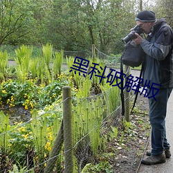 黑科(科)破解版