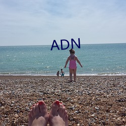 ADN Цص