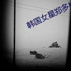 韩国女星郑多彬(彬)