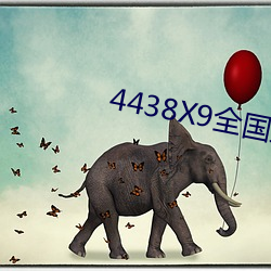 4438X9全国最大人情20